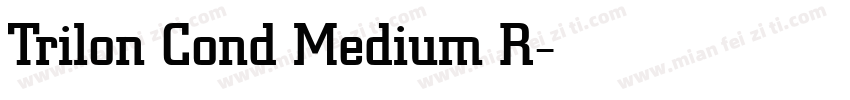 Trilon Cond Medium R字体转换
